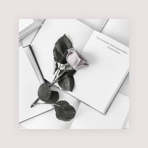 残忍的㓜交在线观看
